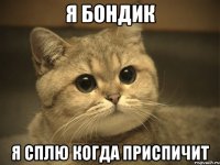 я бондик я сплю когда приспичит