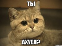 ты ахуел?