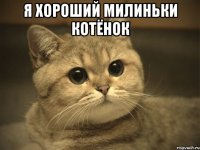 я хороший милиньки котёнок 