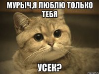 мурыч,я люблю только тебя усек?