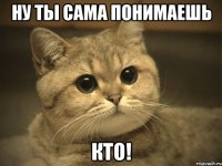 ну ты сама понимаешь кто!