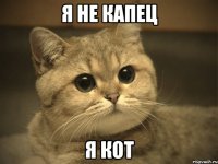 я не капец я кот