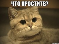 что простите? 