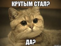 крутым стал? да?