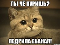 ты чё куришь? педрила ебаная!