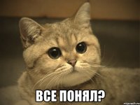  все понял?