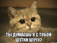  ты думаешь я с тобой шутки шучу?