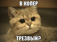 в копер трезвый?