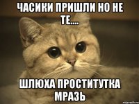 часики пришли но не те.... шлюха проститутка мразь