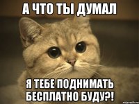 а что ты думал я тебе поднимать бесплатно буду?!