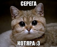 серега котяра :3