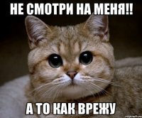 не смотри на меня!! а то как врежу