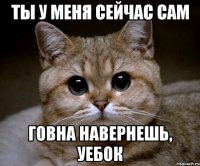 ты у меня сейчас сам говна навернешь, уебок