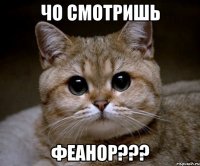 чо смотришь феанор???