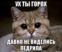 ух ты горох давно не виделись педрила