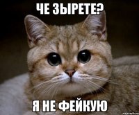 че зырете? я не фейкую