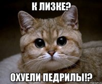 к лизке? охуели педрилы!?