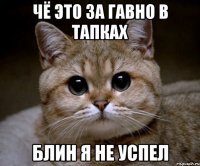 чё это за гавно в тапках блин я не успел