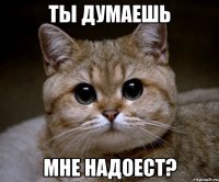 ты думаешь мне надоест?