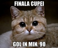 finala cupei gol in min. 90