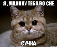 я , ущипну тебя во сне сучка