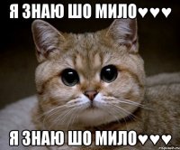 я знаю шо мило♥♥♥ я знаю шо мило♥♥♥