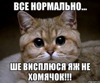 все нормально... ше висплюся яж не хомячок!!!