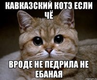 кавказский котэ если чё вроде не педрила не ебаная