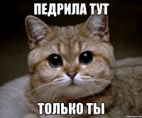 педрила тут только ты