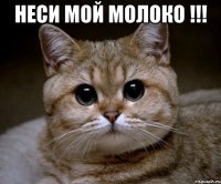 неси мой молоко !!! 