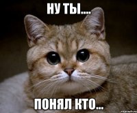 ну ты.... понял кто...