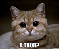  а твоя?