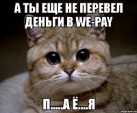 а ты еще не перевел деньги в we-pay п.....а ё....я