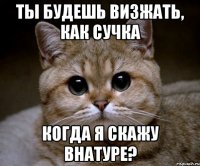 ты будешь визжать, как сучка когда я скажу внатуре?