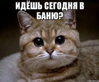 идёшь сегодня в баню? 