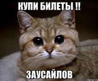 купи билеты !! заусайлов