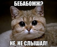 бебабомж? не, не слышал!