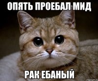 опять проебал мид рак ебаный