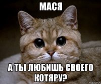 мася а ты любишь своего котяру?