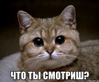  что ты смотриш?