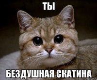 ты бездушная скатина