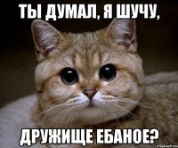 ты думал, я шучу, дружище ебаное?