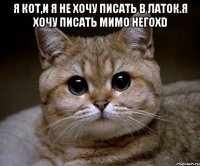 я кот,и я не хочу писать в латок.я хочу писать мимо негоxd 