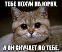 тебе похуй на юрку, а он скучает по тебе.