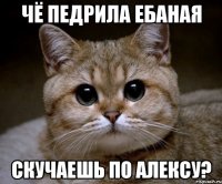 чё педрила ебаная скучаешь по алексу?