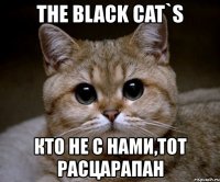 the black cat`s кто не с нами,тот расцарапан