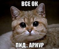 все ок пид.. арнур