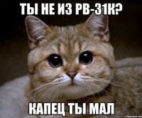 ты не из рв-31к? капец ты мал