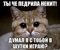 ты че педрила некит! думал я с тобой в шутки играю?