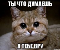 ты что думаешь я тебе вру